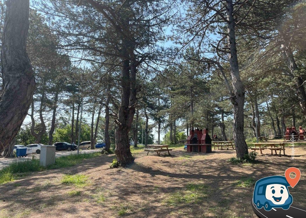 Küçükelmalı Tabiat Parkı - Pazaryeri, Bilecik, foto 2