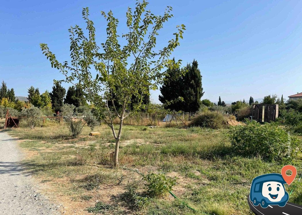 Moonligt Bungalows & Caravan & Glamping - Seferihisar, İzmir, foto 3