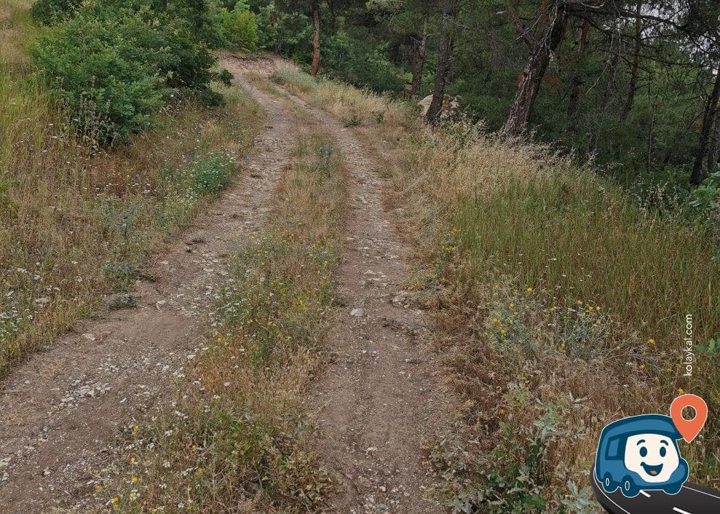 Orman İçi Sakin Kamp Alanı - Erbaa, Tokat, foto 2