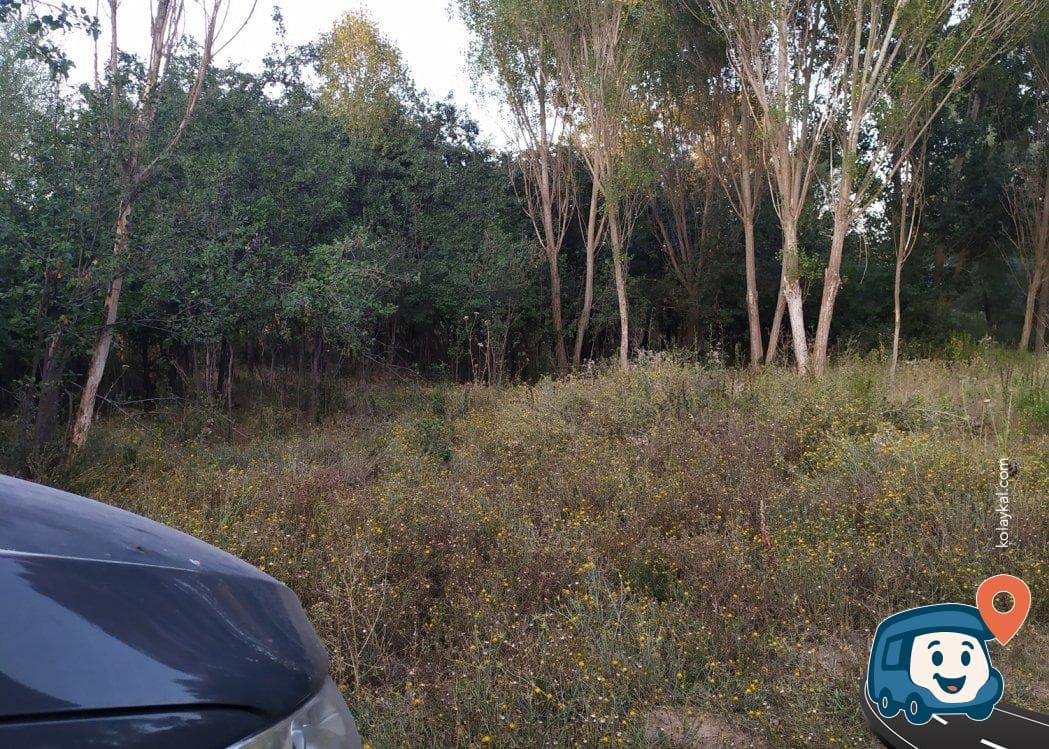 Yol Kenarı Mola ve Kamp Alanı - Afyonkarahisar Merkez, Afyonkarahisar, foto 2