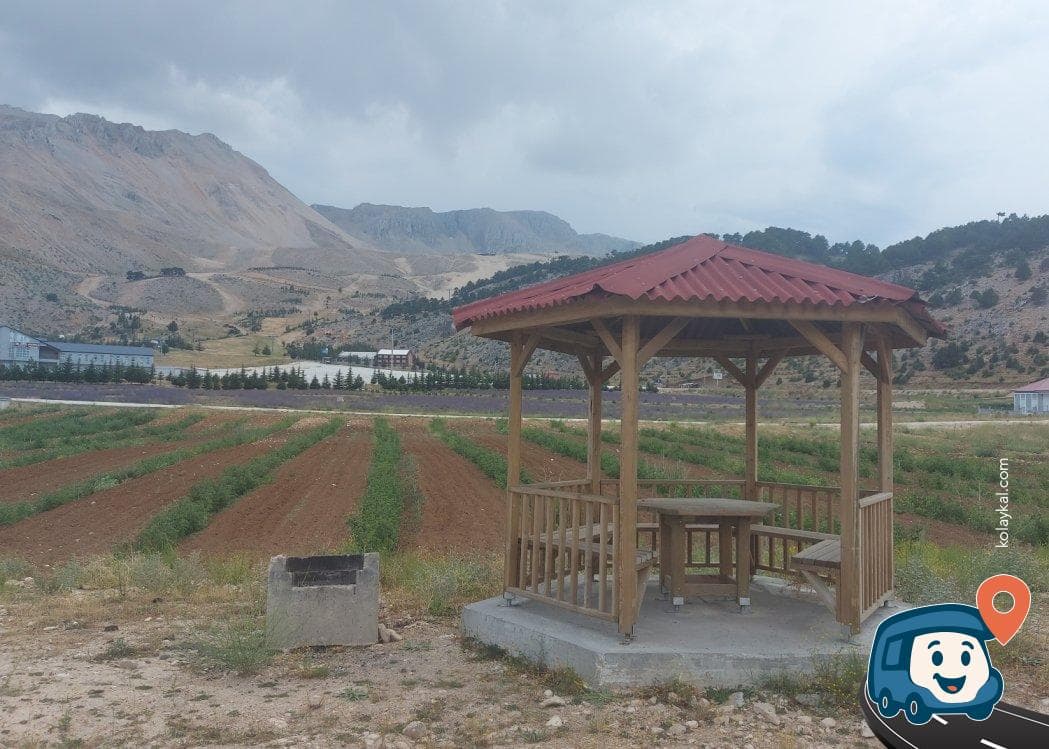Davraz Kayak Merkezi Piknik Alanı - Isparta Merkez, Isparta, foto 1