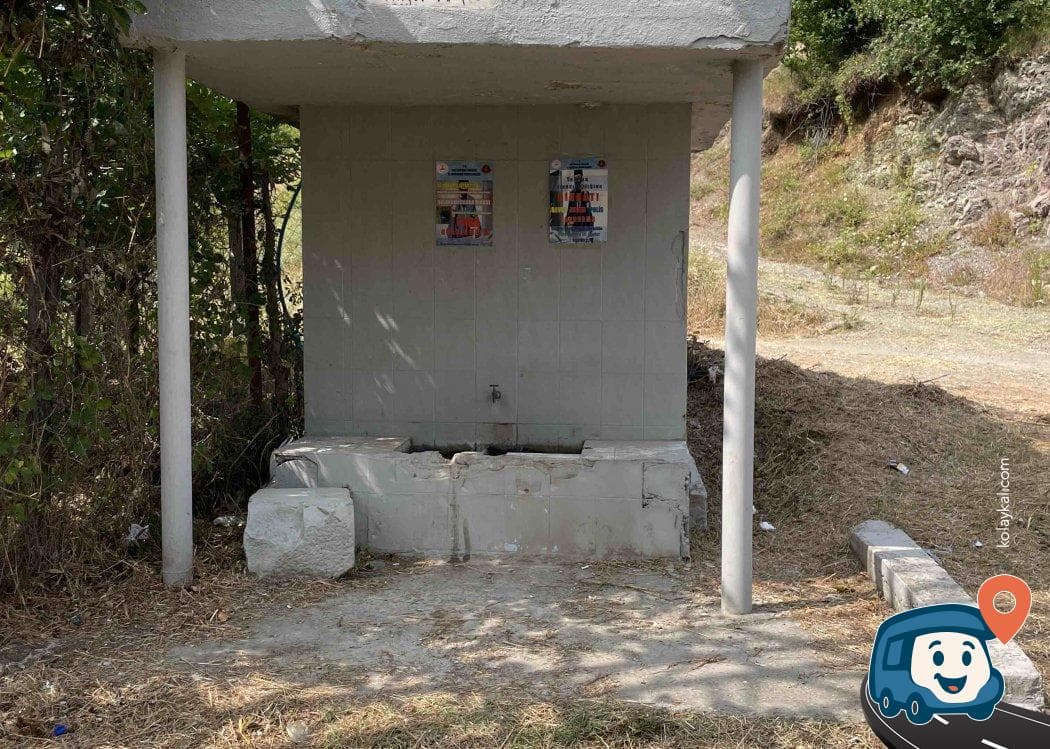 Kuşçu Piknik Alanı - Cide, Kastamonu, foto 3