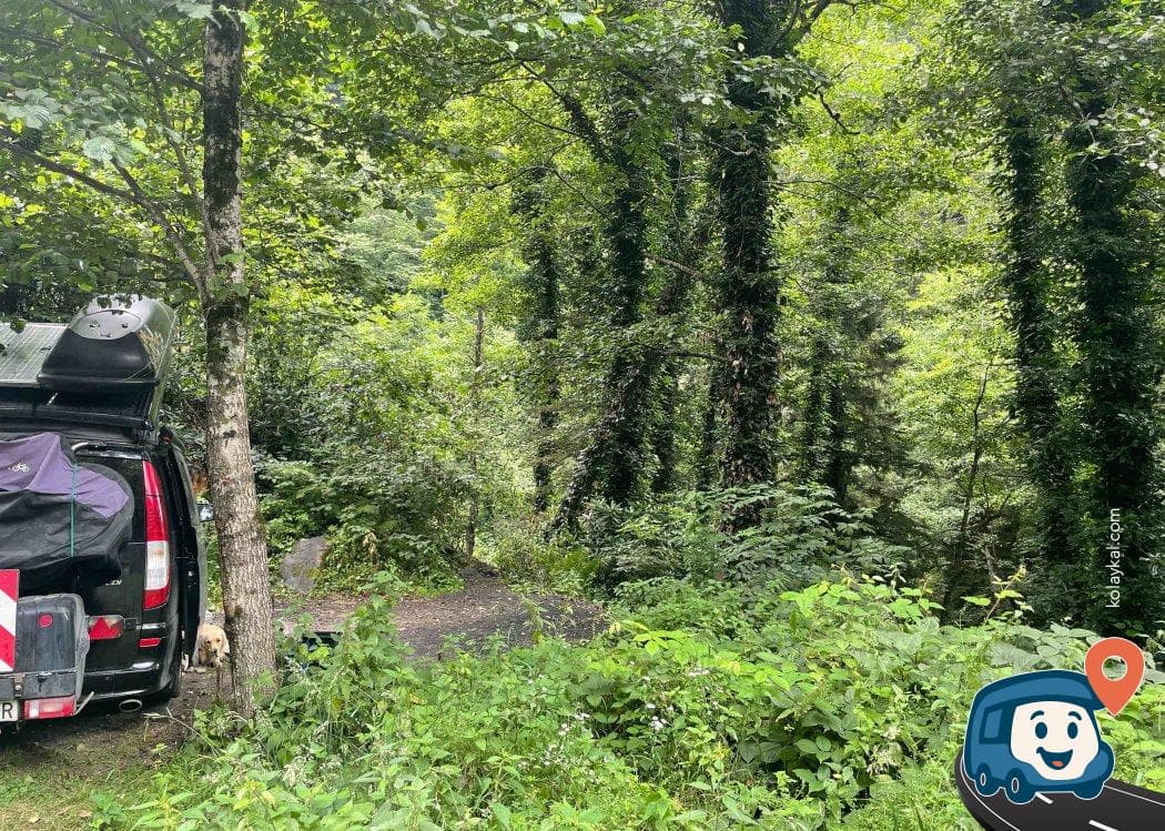 Yol Kenarı Sakin Kamp Noktası - Maçka, Trabzon, foto 1