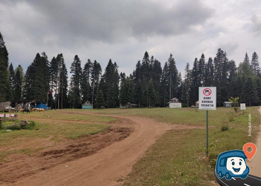 Pürenli Taşkesti Yaylası Kamp Alanı - Mudurnu, Bolu, foto 2