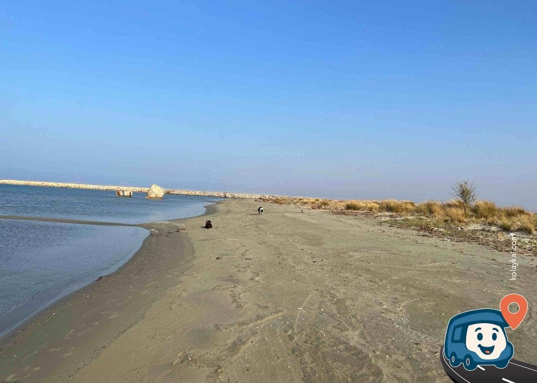 Gelibolu Sahili Kamp Alanı - Çanakkale, foto 2