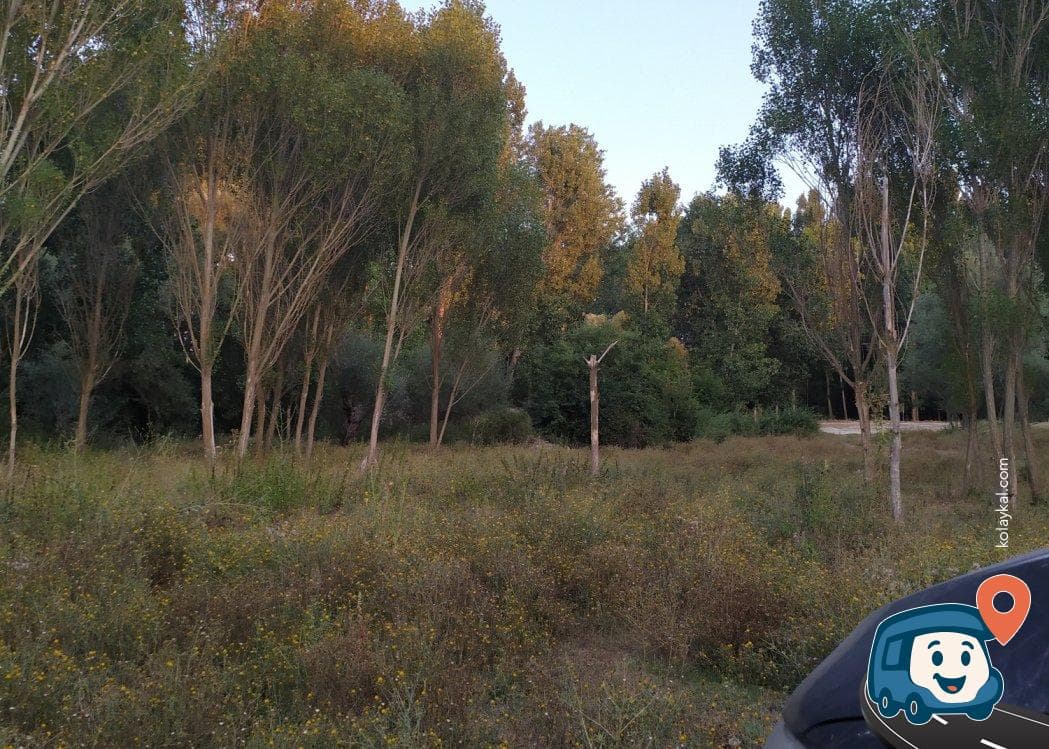 Yol Kenarı Mola ve Kamp Alanı - Afyonkarahisar Merkez, Afyonkarahisar, foto 1