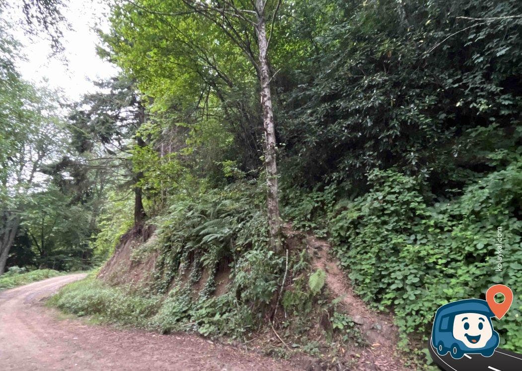 Vazelon Manastırı Patika Yolu - Maçka, Trabzon, foto 3