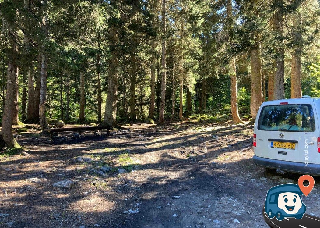 Kaçkar Milli Parkı Piknik Alanı - Çamlıhemşin, Rize, foto 2