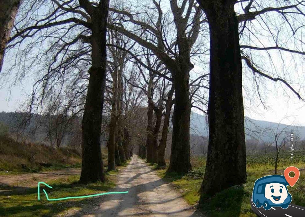 İznik Gölü Yakınları Kamp Alanı - Kestel, Bursa, foto 1