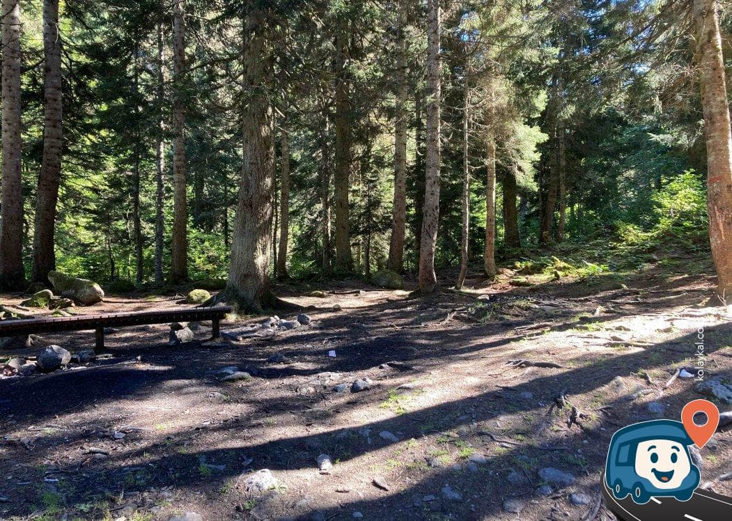 Kaçkar Milli Parkı Piknik Alanı - Çamlıhemşin, Rize, foto 1