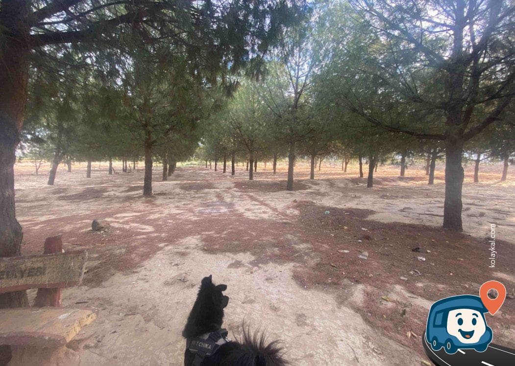 Gölge ve Su Kaynağı Olan Sakin Kamp Alanı - Alaşehir, Manisa, foto 3