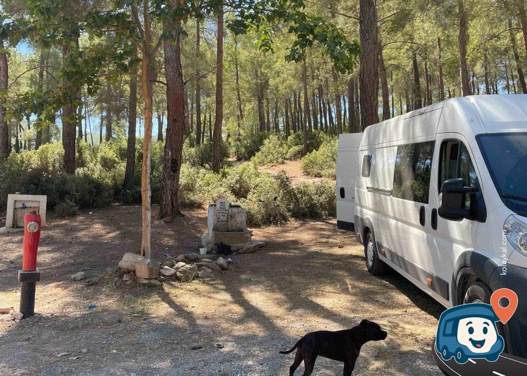 Güllük Halk Plajı - Bodrum, Muğla, foto 1
