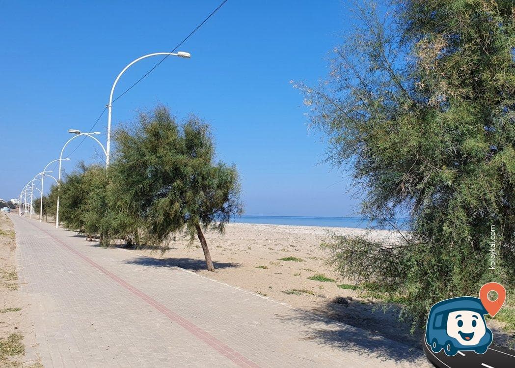 Marmara Denizi Sahili Kamp ve Otopark Alanı - Mudanya, Bursa, foto 3