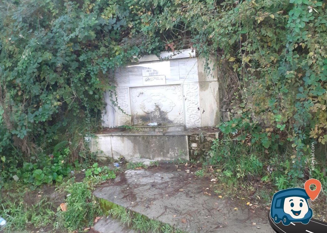 Boyabat İçme Suyu Kaynağı ve Doğal Kamp Alanı - Ayancık, Sinop, foto 1