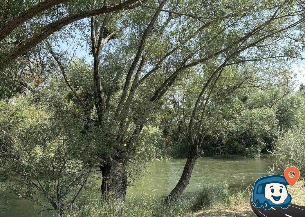 Sakarya Nehri Kamp Alanı - Tepebaşı, Eskişehir, foto 2