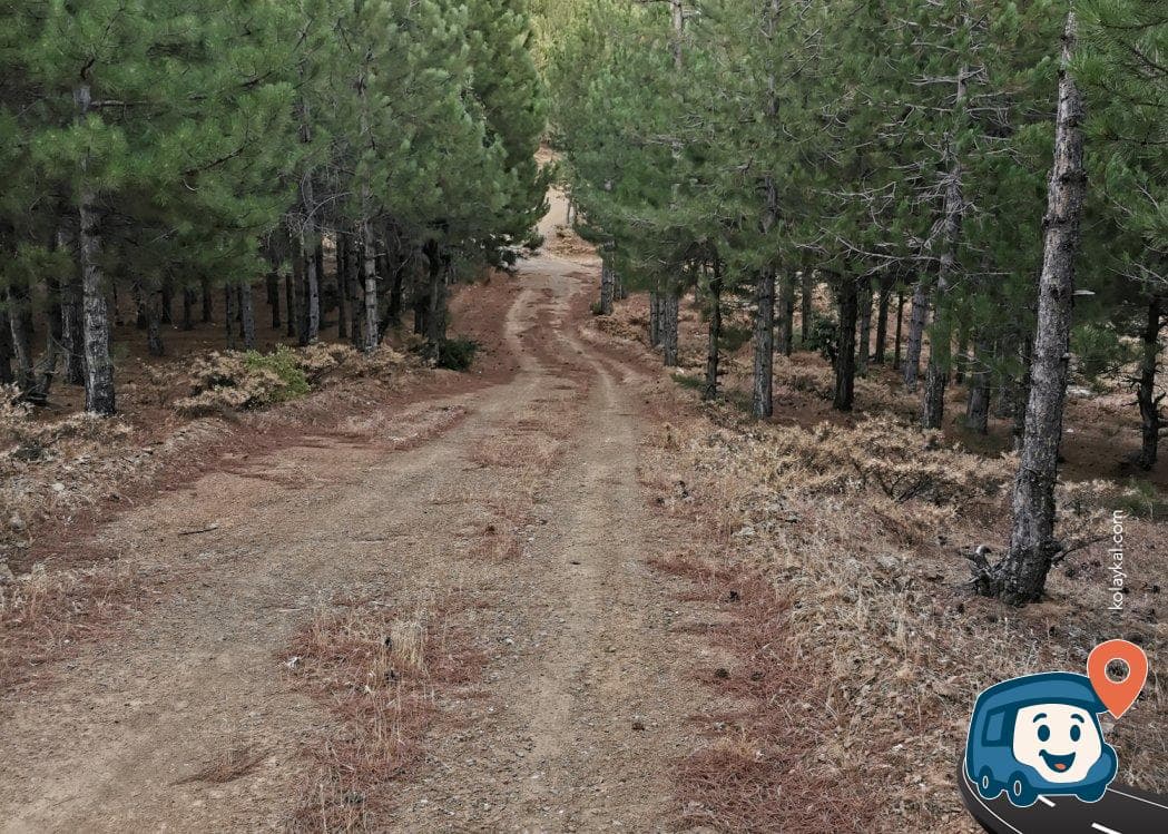 Yol Kenarı Gizli Nokta - Sincik, Adıyaman, foto 4
