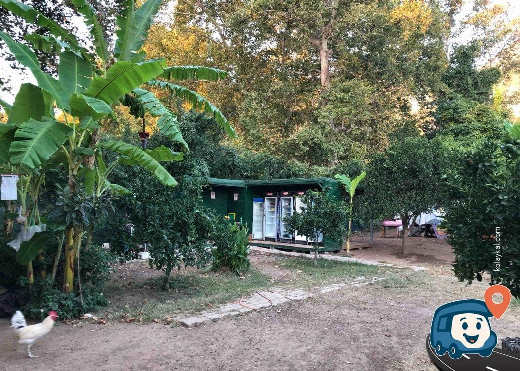 Çıralı Kamp Alanı - Kemer, Antalya, foto 3