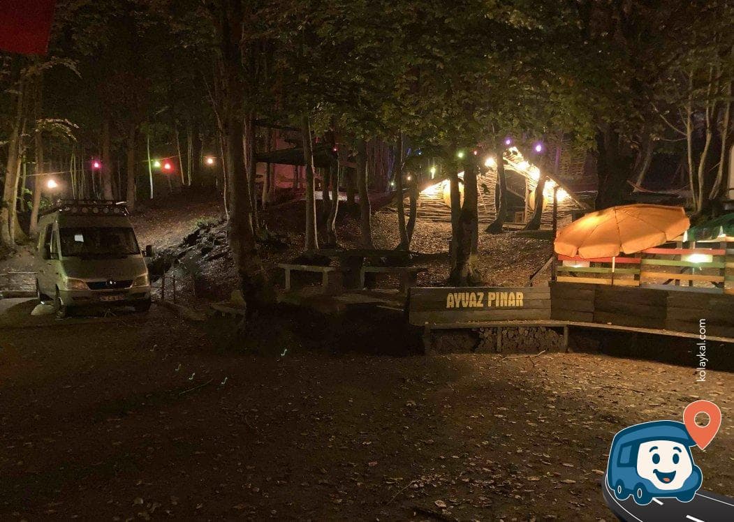 Vasili Piknik ve Kamp Alanı - Gölcük, Kocaeli, foto 4