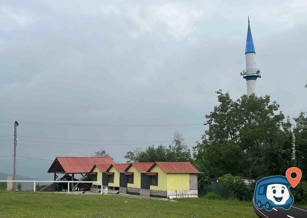 Kervansaray & Natural Kamping At Binicilik - İzmit, Kocaeli, foto 4