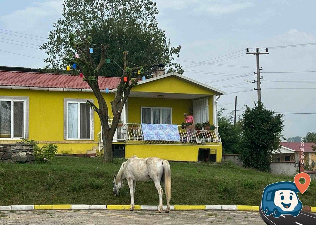 Kervansaray & Natural Kamping At Binicilik - İzmit, Kocaeli, foto 3