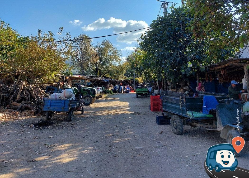 Turan Köyü Kamp Alanı - Erdek, Balıkesir, foto 1