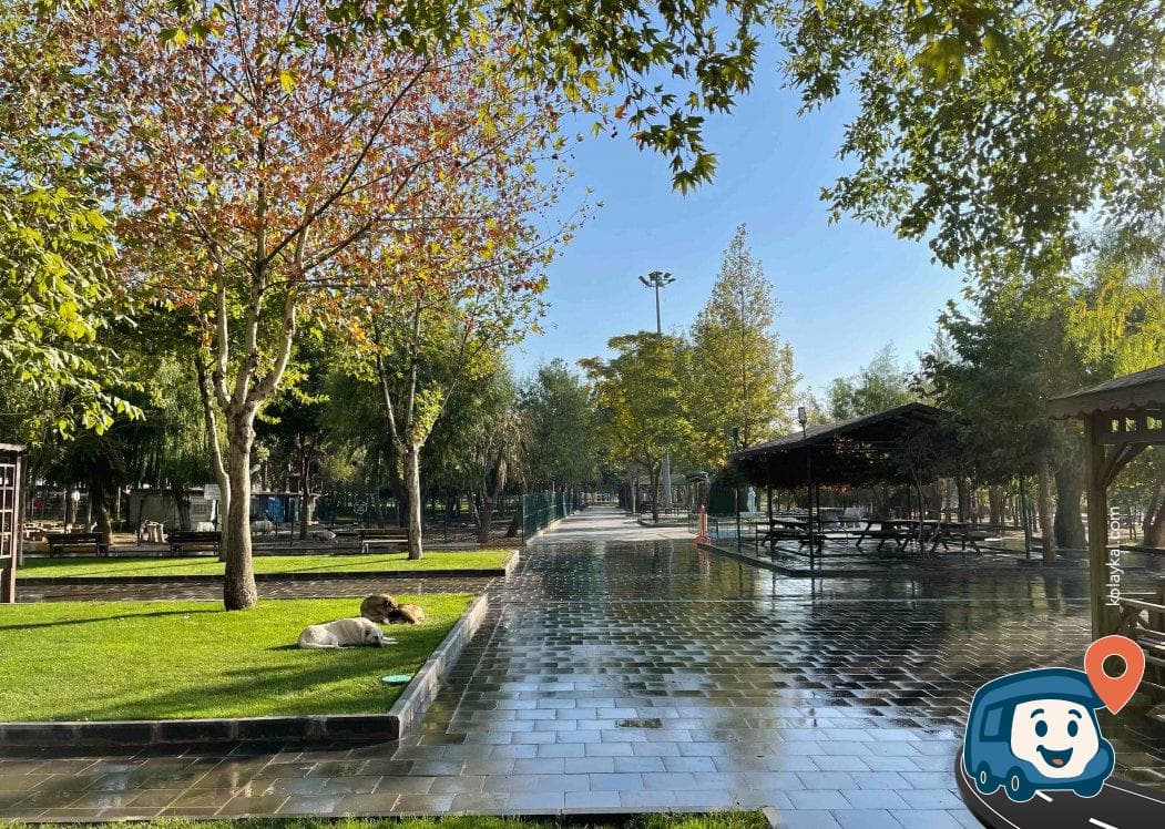 Piknik ve Kamp Alanı - Siverek, Şanlıurfa, foto 4