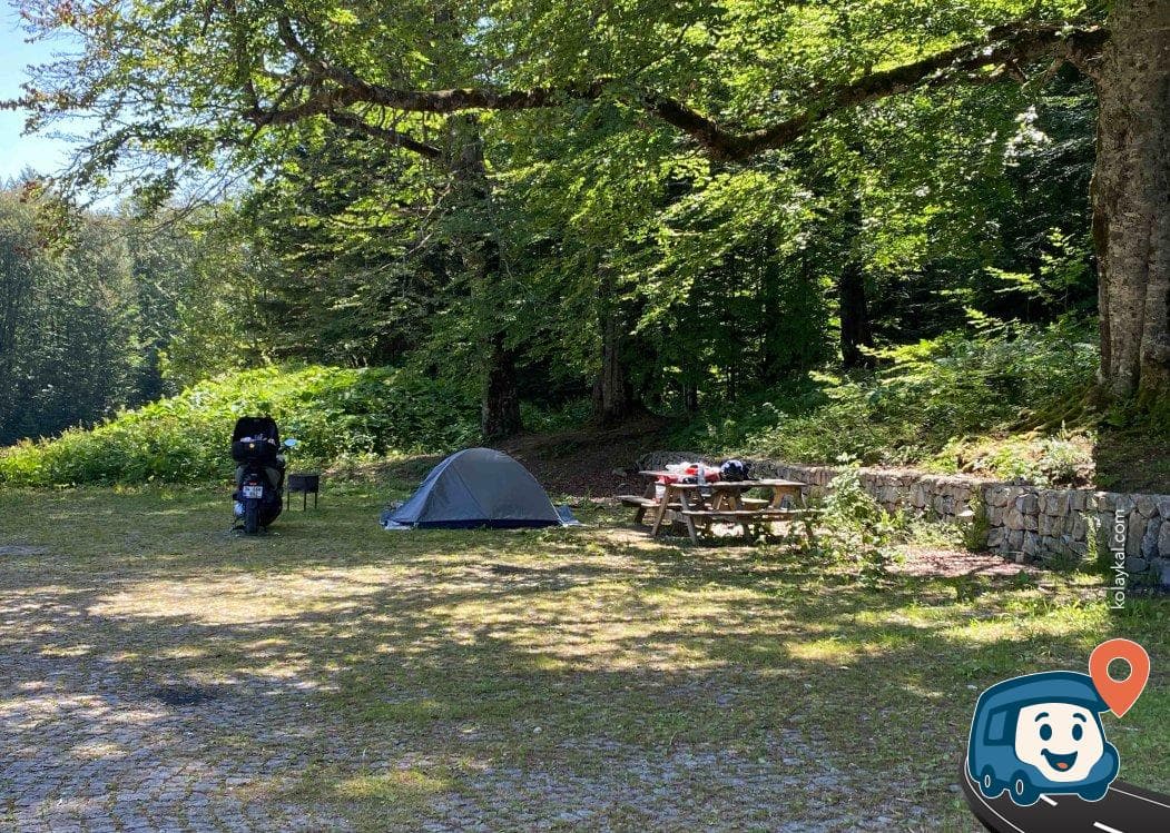 Ayıkayası Tabiat Parkı Karavan Kamp Alanı - Bolu Merkez, Bolu, foto 3