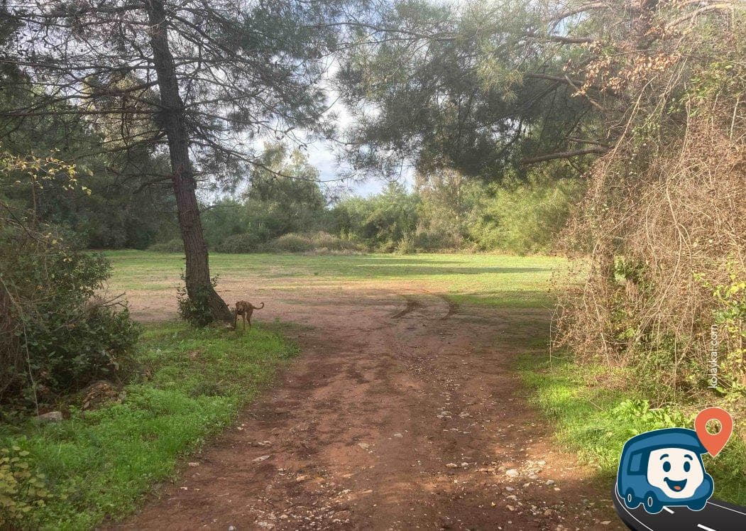 İcekum Plajı Yakınlarında Kamp Alanı - Marmaris, Muğla, foto 2