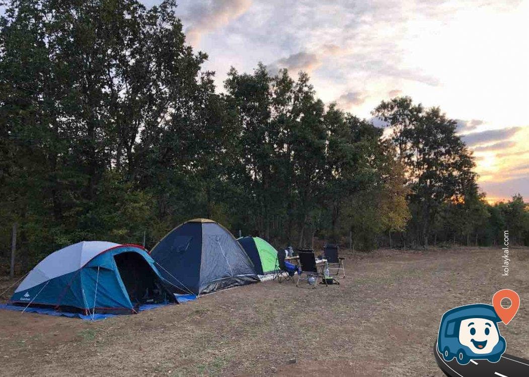 Cebbar Abi'nin Meşe Ormanı Kamp Alanı - Demirköy, Kırklareli, foto 1
