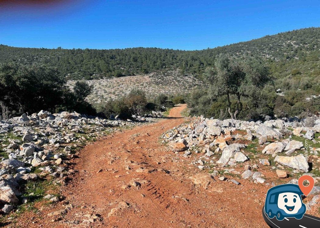 Deniz Manzaralı Kamp Alanı - Milas, Muğla, foto 2