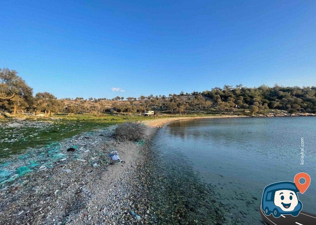 Seratan Koyu - Milas, Muğla, foto 1