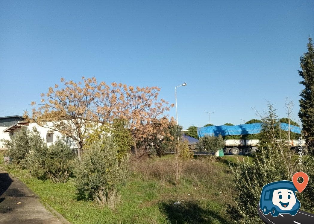Torbalı Servis Alanı - İzmir, foto 2