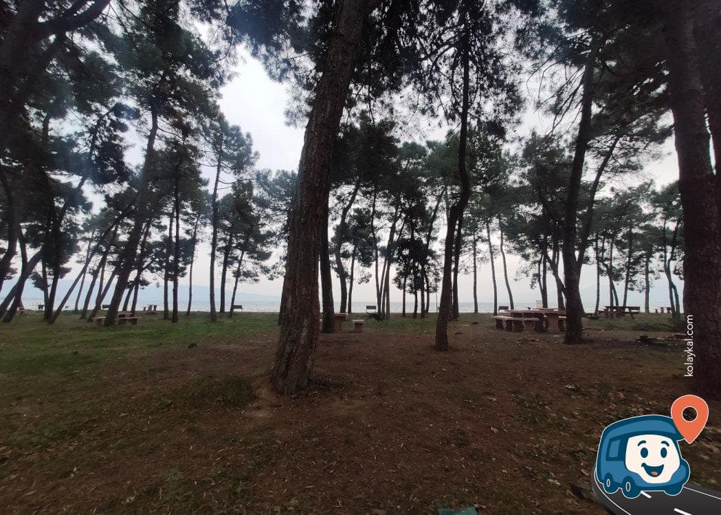 İznik Gölü Örnekköy Sahili Kamp ve Park Alanı - Orhangazi̇, Bursa, foto 3