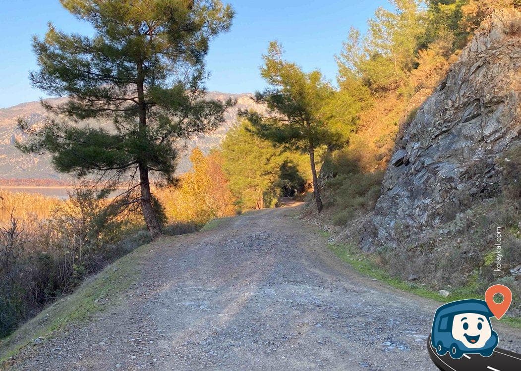 Köyceğiz Gölü Kenarı Piknik Alanı - Muğla, foto 2