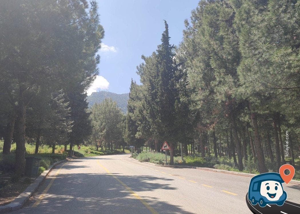 Denizli Kent Ormanı Piknik Alanı - Pamukkale, foto 4