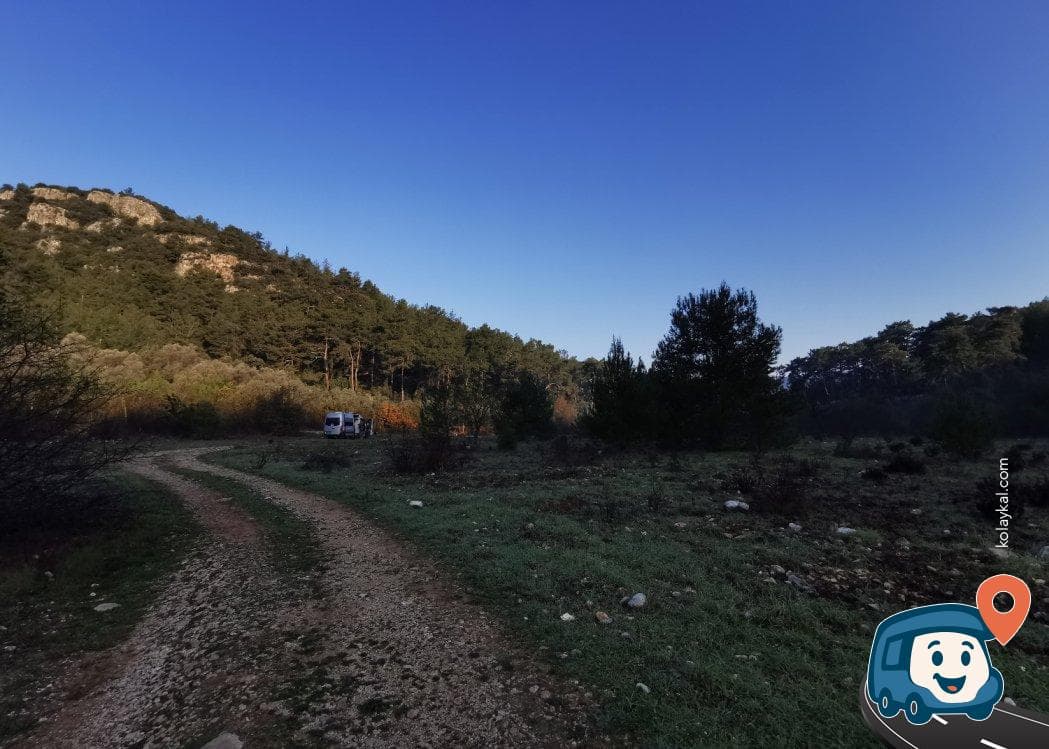Marmaris Orman İçi Zeytinlik Kamp Alanı - Ula, Muğla, foto 3