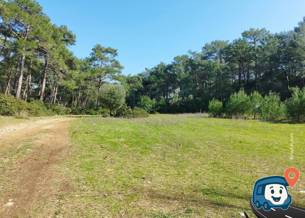 Ağaçlarla Çevrili Sakin Kamp Alanı - Menteşe, Muğla, foto 1