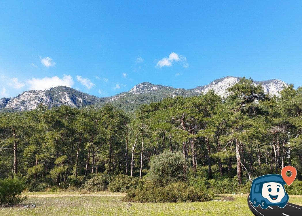 Ağaçlarla Çevrili Sakin Kamp Alanı - Menteşe, Muğla, foto 3