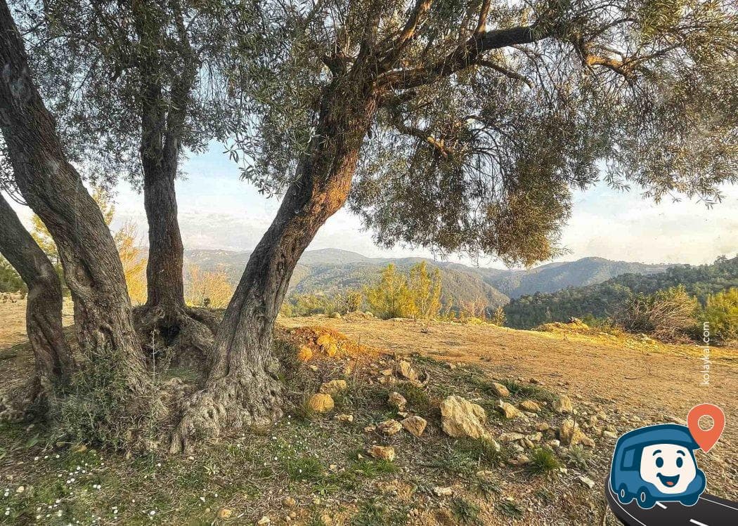 Toros Dağları Eteklerinde Sakin Kamp Alanı - Manavgat, Antalya, foto 4
