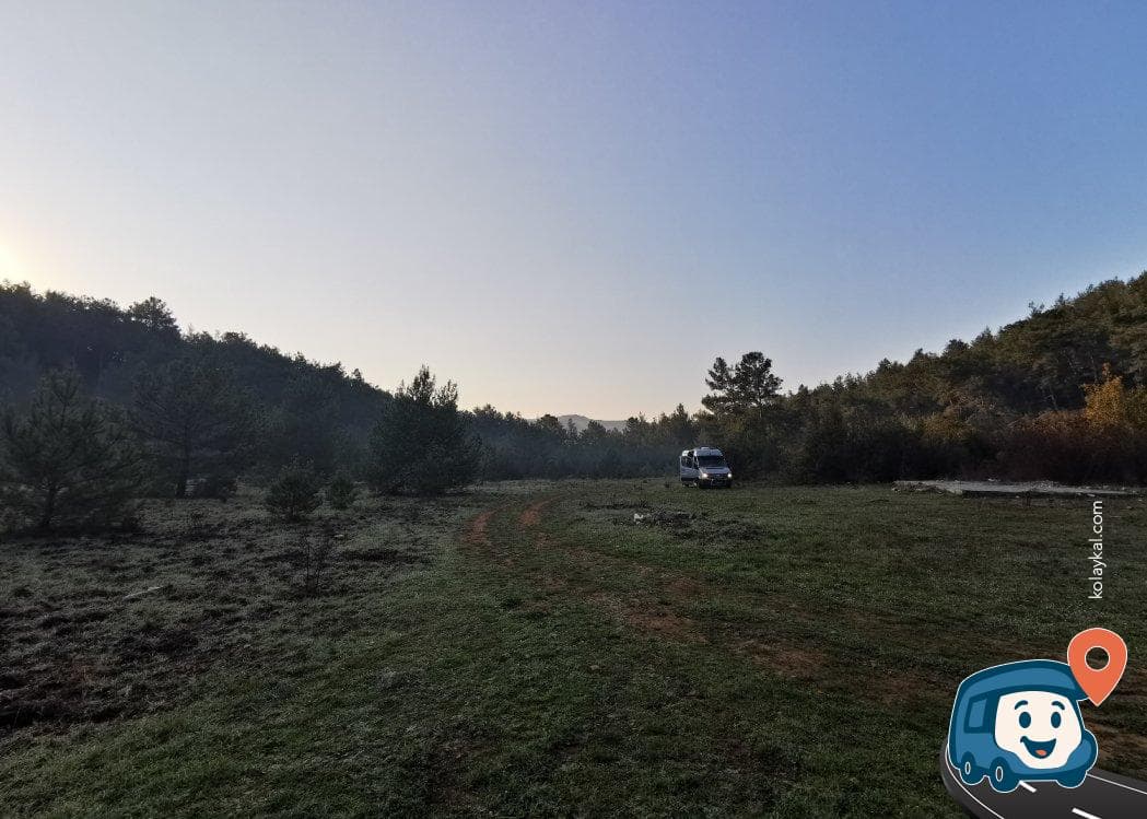 Marmaris Orman İçi Zeytinlik Kamp Alanı - Ula, Muğla, foto 1