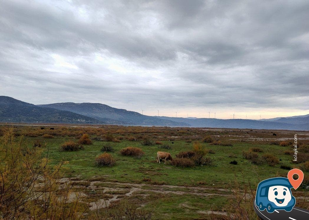 Söke Serçin Gölü Yakınında Kamp ve Dinlenme Alanı - Aydın, foto 3