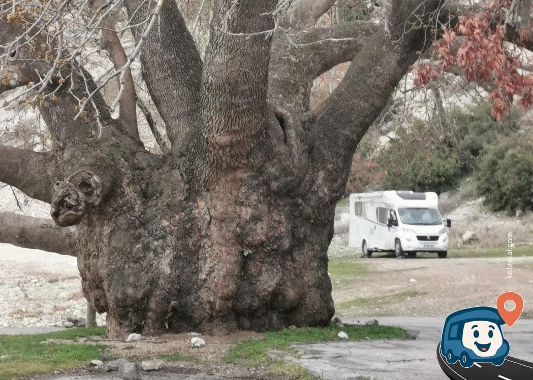 Göl Kenarı Plajı - Eğirdir, Isparta, foto 10