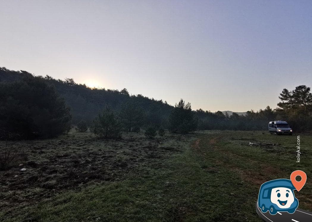 Marmaris Orman İçi Zeytinlik Kamp Alanı - Ula, Muğla, foto 2