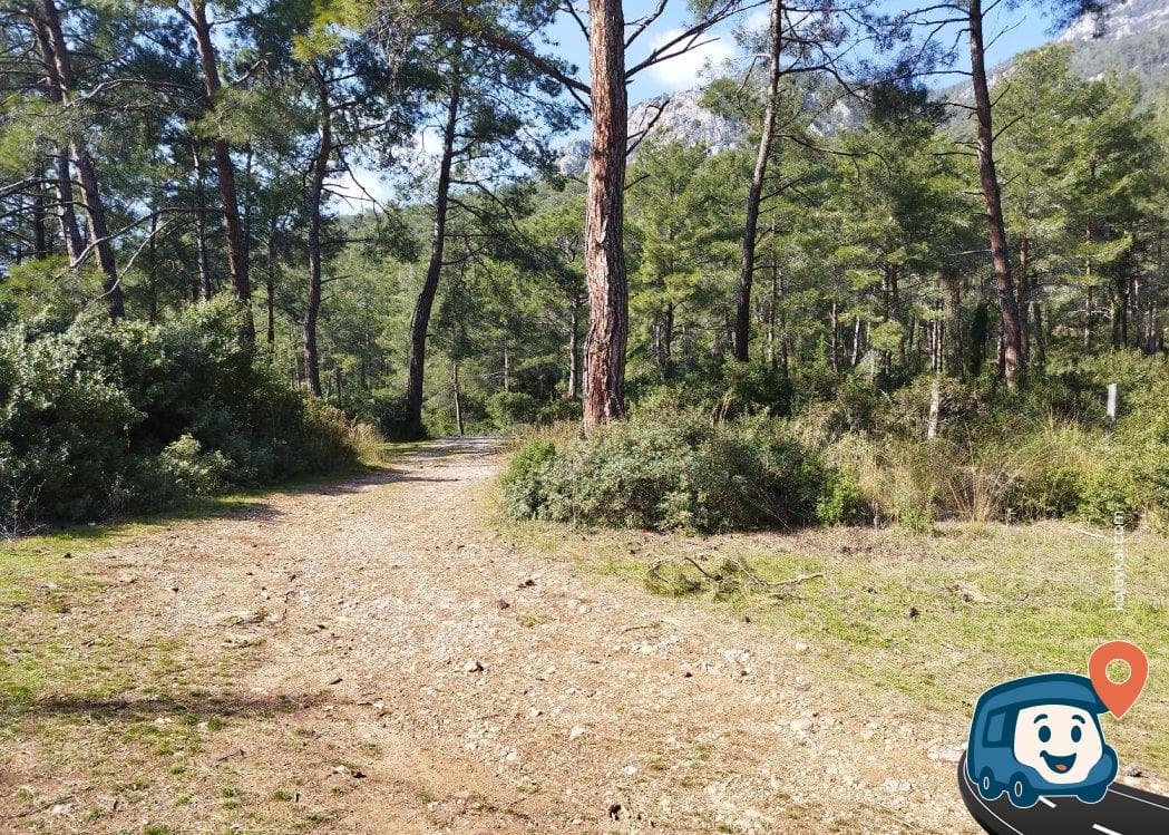 Ağaçlarla Çevrili Sakin Kamp Alanı - Menteşe, Muğla, foto 2