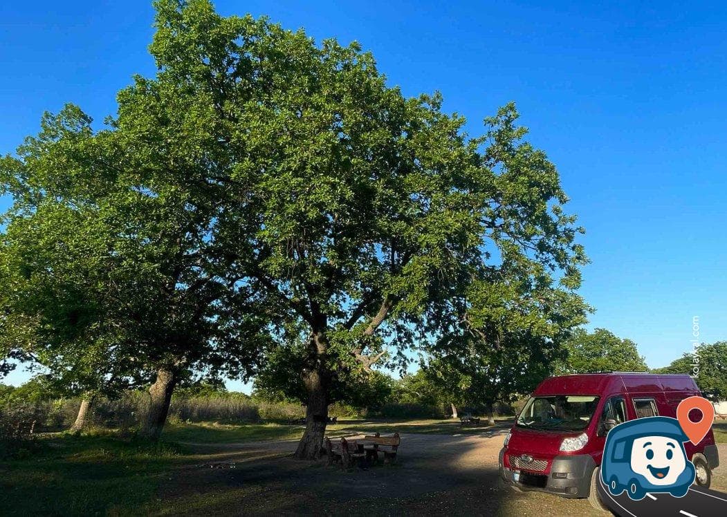 Karahıdır Korusu - Kırklareli Merkez, Kırklareli, foto 5
