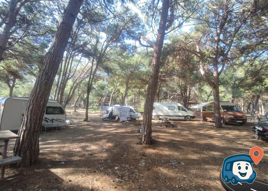 Adana Meyve Bahçeleri Kamp Alanı - Karataş, foto 3