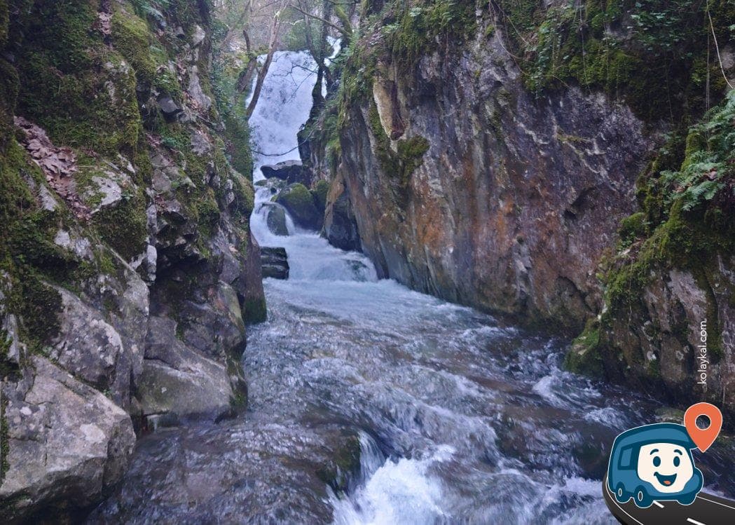 Ayazma Pınarı Tabiat Parkı - Edremit, Balıkesir, foto 1