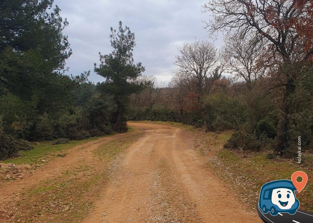 Manyas Gölü Yakınında Sakin Kamp Alanı - İvrindi, Balıkesir, foto 1