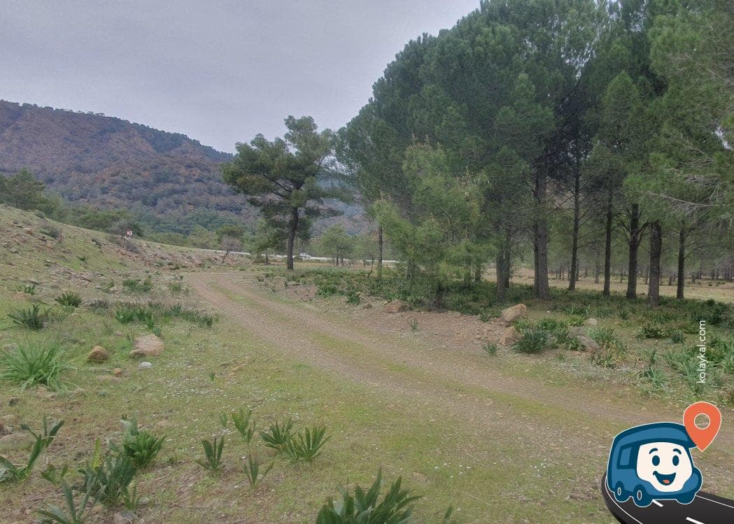 Dalaman Çayı Kenarı Kamp Alanı - Köyceğiz, Muğla, foto 1