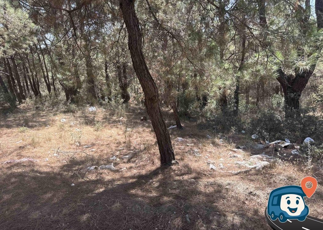 Çamlık Vahşi Kamp Alanı - Selçuk, İzmir, foto 6